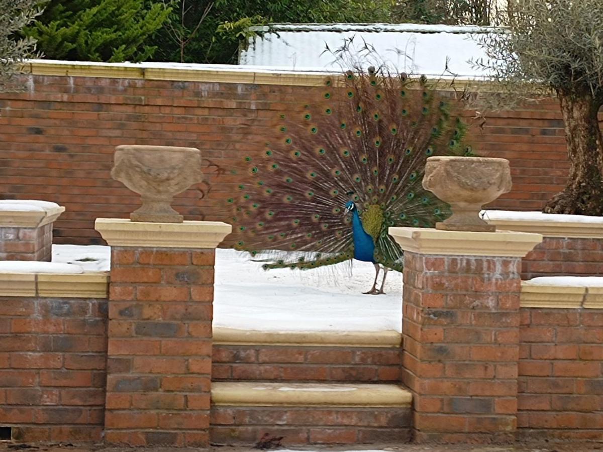 The West Wing At Eriviat Hall Hot Tub Henllan  Екстериор снимка