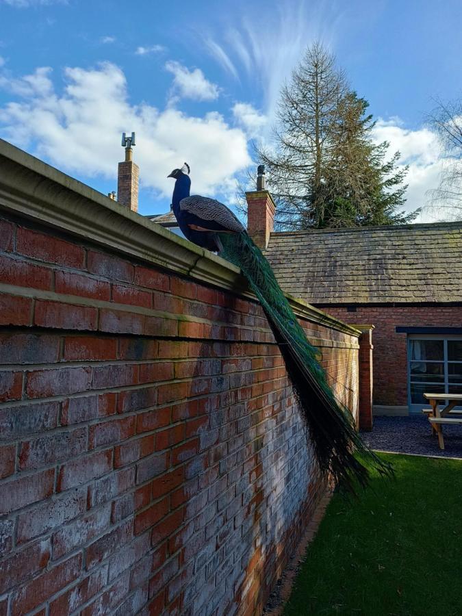 The West Wing At Eriviat Hall Hot Tub Henllan  Екстериор снимка